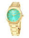 Devota & Lomba Women's Watch 37mm Battery with Gold Stainless Steel Bracelet