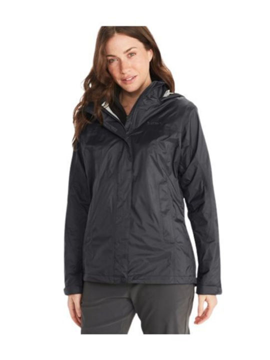 Marmot Precip Eco
