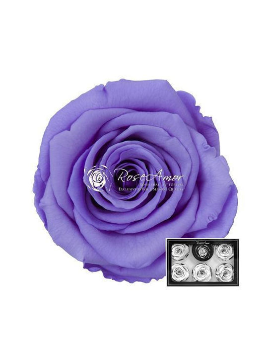 Fankon Flowers Eternal Rose 6pcs