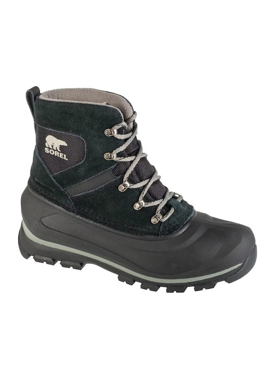 Sorel