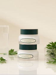 Selenus Artemisia Calming Us Repair Balm Rich Balm 50ml
