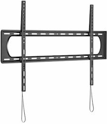 Aisens Wall TV Mount up to 120" and 160kg