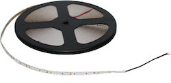 Adeleq LED Лента 24V Топло бяло Светлина 30м Ти...