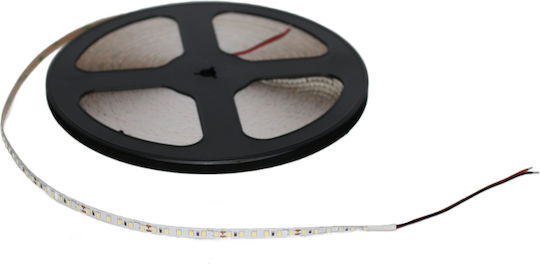 Adeleq LED Strip 24V Natural White Light 30m Type SMD2835