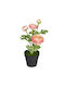 BigBuy Decorative Artificial Plant Black 36cm