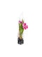 BigBuy Decorative Artificial Flower Green 18cm