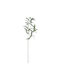 BigBuy Artificial Decorative Branch Green 86cm