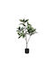 BigBuy Decorative Artificial Plant 120cm