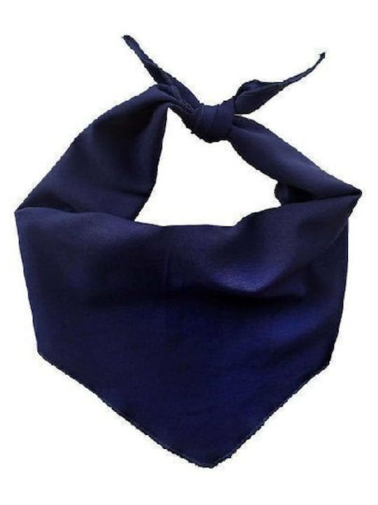 Sandra Women's Scarf Blue