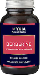 Ygia Berberine 500mg 60 Vegetable Capsules