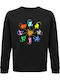 Eevee Evolution Pokemon Hanorace Pokemon Negru