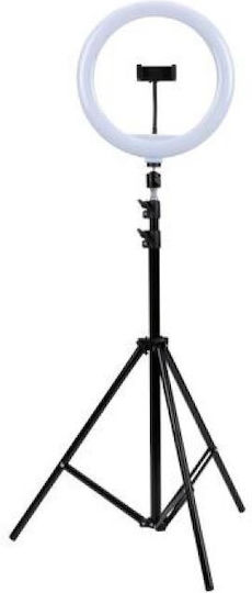Grundig Grundig Ringlicht 30,48cm