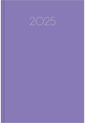 Innostat Daily Planner 2025 Purple 14x21cm