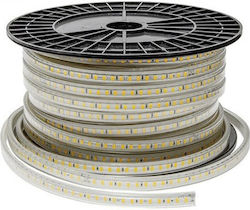 Ταινία LED 220V Θερμό Λευκό 1m Ταινία LED 220V Θερμό Λευκό 1m
