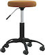vidaXL Medical Stool Brown 3085736