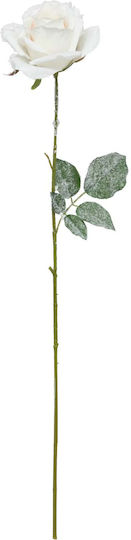 Τριαντάφυλλο Λευκό 62cm
