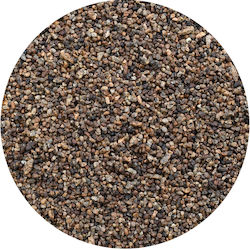 Vivarini – Cardamom Shelled Seeds 50g