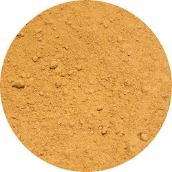 Vivarini – Ginger Ground 50g