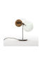 Casa Vogue Decorative Lamp Transparent