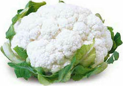 Syngenta Seeds Cauliflower