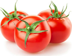 Tomato Mose 1,000 Seeds