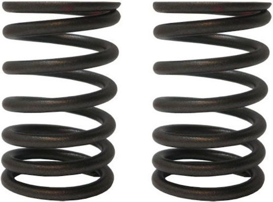 Honda Innova 125cc ANF Ventilfedern-Set ROC115938