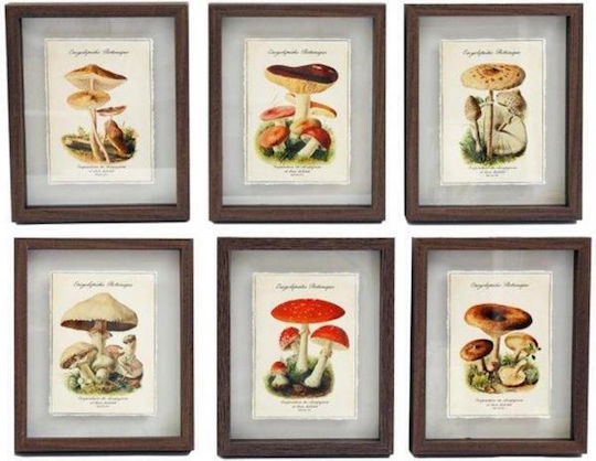 Set de rame Ciuperci 6 bucăți 21x26cm