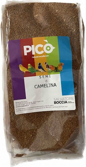 Pico Pico Camelina Sativa Καμελίνα Τροφή για Καναρίνια 1kg