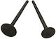 Motorcycle Intake & Exhaust Valves Lifan GY-6 50