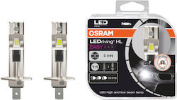 Osram Lamps H1 LED Cold White 2pcs Osram Lamps H1 LED Cold White 2pcs