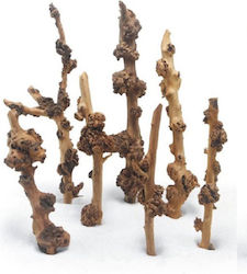 Haquoss Savana Wooden Medium 30/40cm
