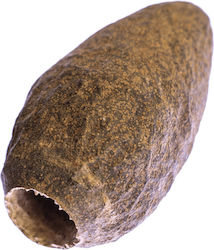 Ceramic Nature Savu Pods Ceramic Nature Savu Pods