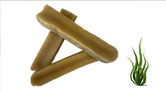 Himalayan Yak Chew Bars Dog with Mlik and Cheese 100gr