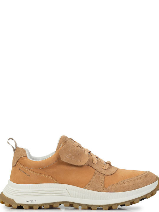 Clarks Sneakers Tampa