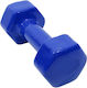 Dumbbell 1 x 6kg