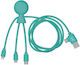 Xoopar Mr.bio Braided USB to Lightning / Type-C 1m Cable