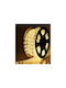 Christmas Light Tube Warm White 220V Programmable 100m