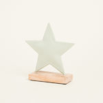Beauty Home Plastic Christmas Decorative Star 1...