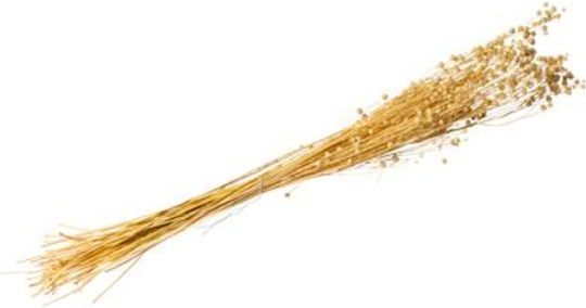 Αποξηραμενο Λιναρι 50gr – 60cm Beauty Home