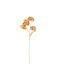 Hortensie Gold Matt 66 cm Beauty Home