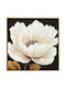 Canvas Painting 63x63x3cm Flower Forhome 905802 Home