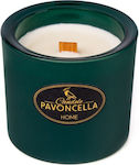 Pavoncella Christmas Glass Candle