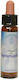 Crystal Herbs Αιθέριο Έλαιο 10ml