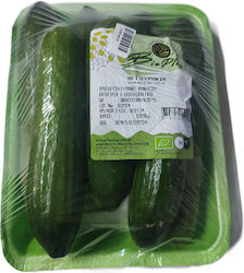 Castraveți Mini Organici Grecești (Greutate Minimă 1kg)