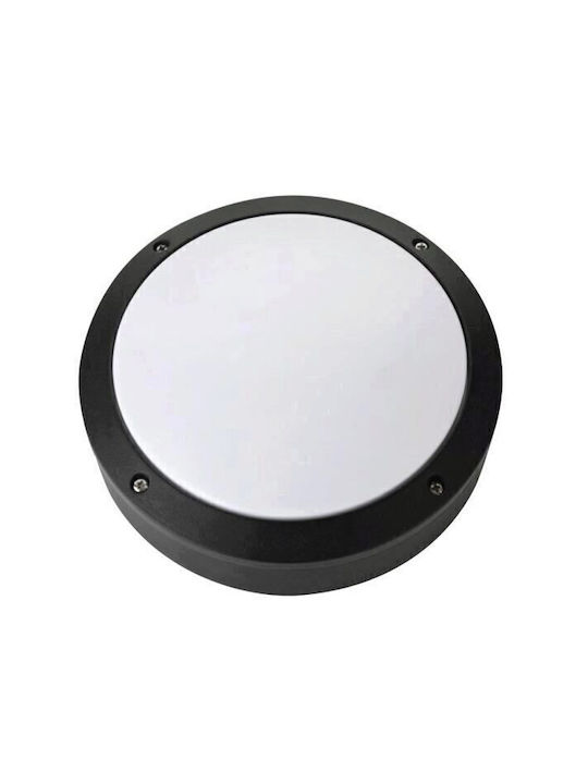 Horoz Electric Lumină de exterior montată pe perete LED 12W cu Alb Natural Lumină 22x6.7εκ.