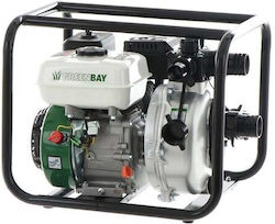 GreenBay Βενζινοκίνητη Αντλία Επιφάνειας 7hp K603233