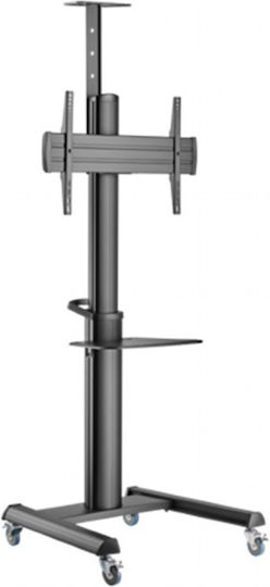 Gembird TVS-70T-02 Βάση Τηλεόρασης Δαπέδου έως 70kg Μαύρο