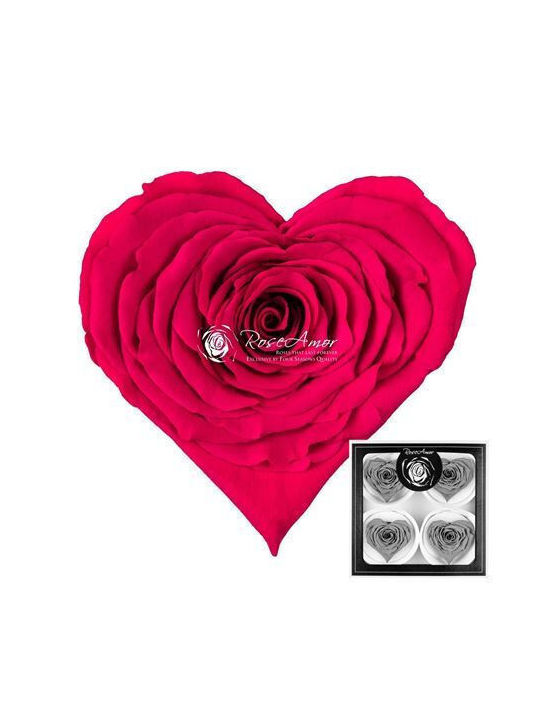 Preserved Roses Corazon Bella Pink 03 4 Pieces