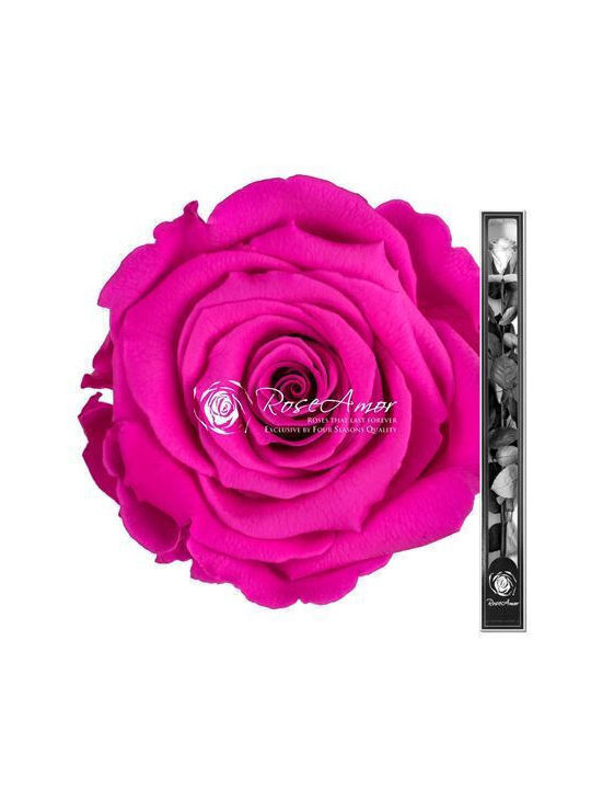 Konservierte Rosen 70cm Stiel Pink 07