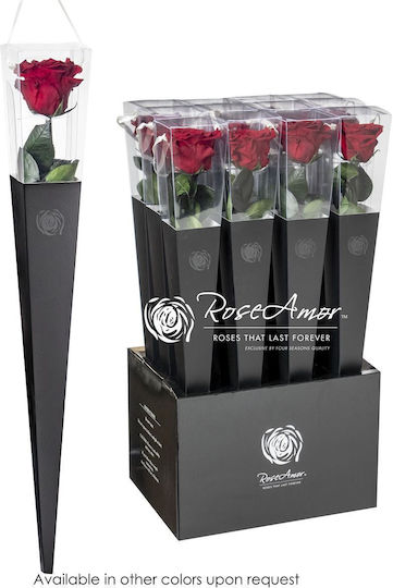 Konservierte Rosen 50cm Lori Rot 01